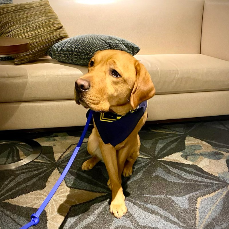 High time for a road&nbsp;trip